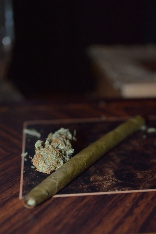 Into A Stoner's Mind!