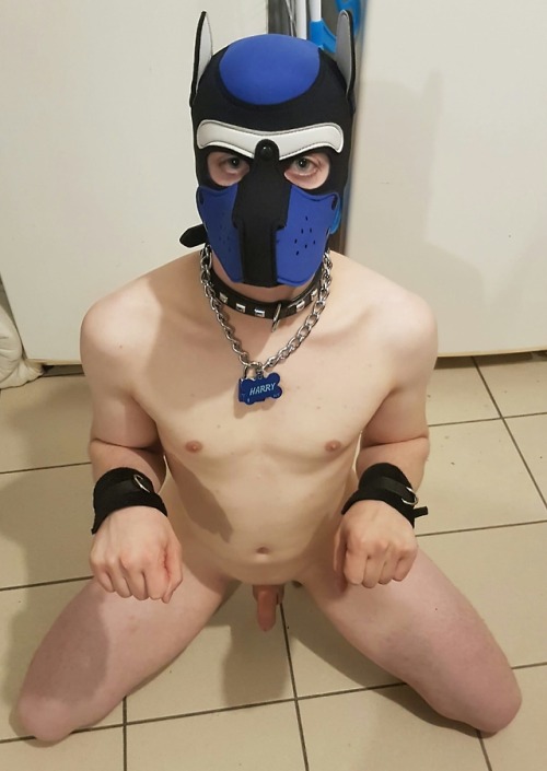 pupharry:Harry Naked #hot #puppy #puppyplay #dogtraining #woof #naked