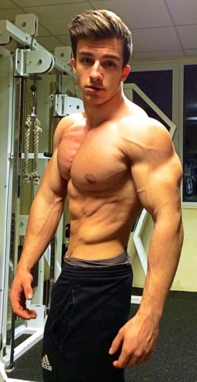 promisedland2014:  German über hunk, Tim Gabel 