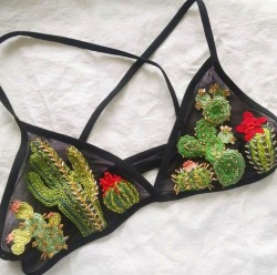 carohrdzc:Cactus🌵