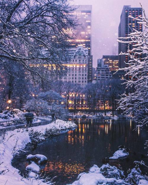 everything-thing - Central Park in March by ...