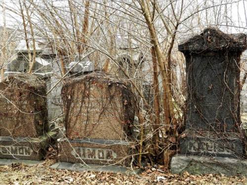 daughterofchaos: Jewish Section at Oak Woods Cemetery in Chicago Photo by Thom - stilled.life on Flickr 