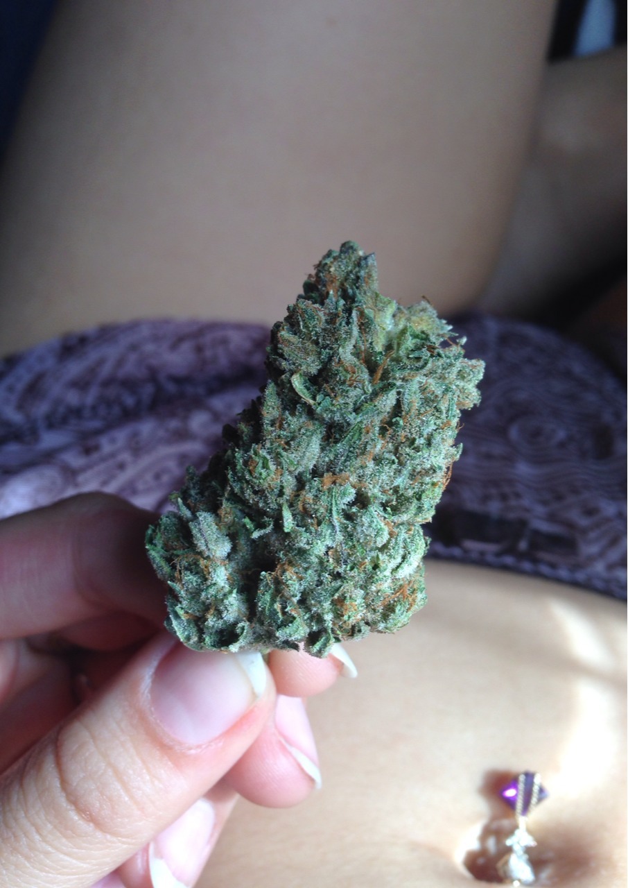 pinupmodsandank:  Yoda Brain OG ^.^