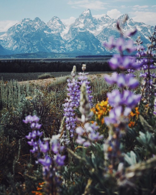 dirtlegends: Grand Teton National Park