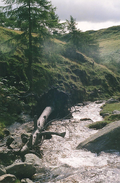 tidalwav-es:  4nimalparty:  (by natalya lobanova)   x