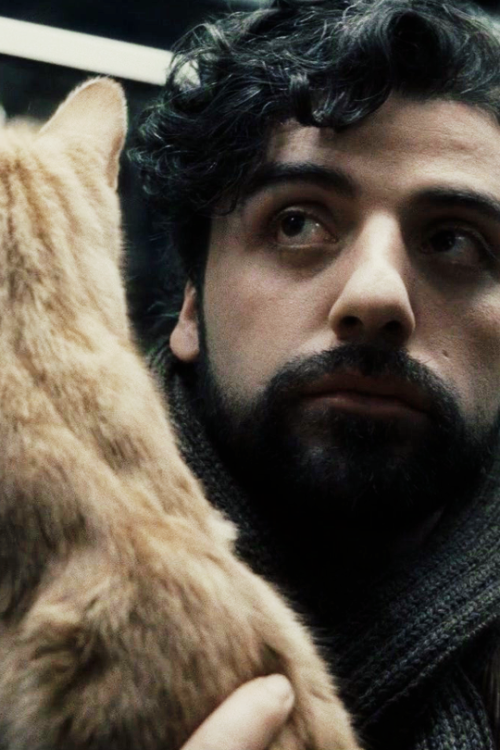 lennydi:Inside Llewyn Davis (2013) 