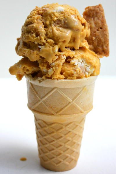 in-my-mouth:  Pumpkin Ice Cream with Cream Cheese and Pie Crust Swirls