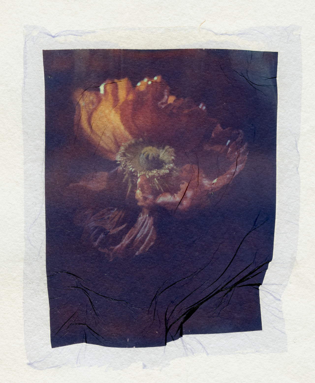 the glow
polaroid 59, 4x5 film, emulsion lift on watercolor paper