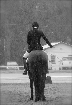 aheadforbusiness-abodyforsin:  My friend took some awesome pictures of Darci and I in the downpour at our horse show last weekend! My little Goose was such a trooper, and I am very proud of her!  That top picture is gorgeous!