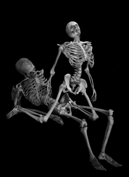 vriskay: jollyparaphernalia: horserape6: falcnpunch: this photoset of skeletons fucking is both horr