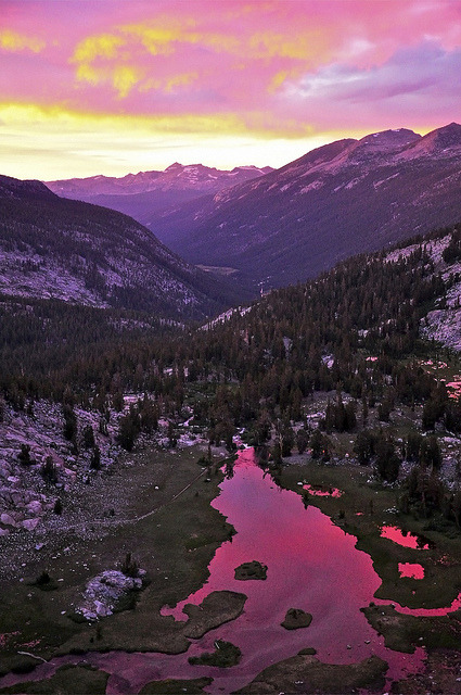 orbited:Sunset, Lyell Canyon, Yosemite National Park by SteveD. on flickr