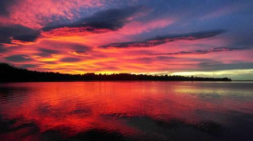 #sunrise #sky #skyscape #landscape #nature #lake #metung #visitvictoria #seevictoria #australia #see