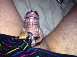 bimaleslave:  My tiny cock as it belongs!! 