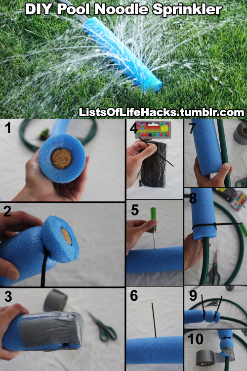 russalex: listsoflifehacks:  Pool Noodle Life Hacks  This post brought to you by
