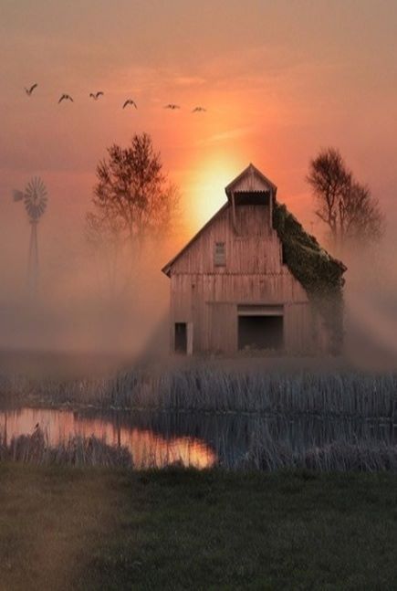 beautymothernature:  Sunrise share moments 