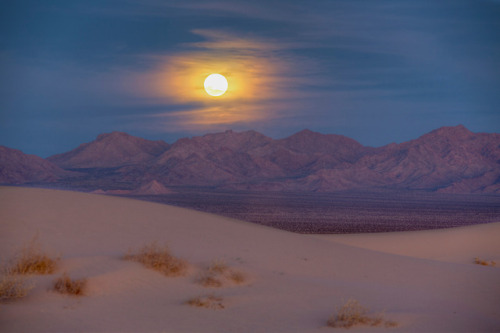 mostly-mojave: Cadiz Dunes Wilderness by Bob Wick via Flickr  flic.kr/p/E192Ne