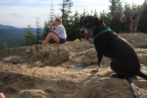 My little boys first hike.