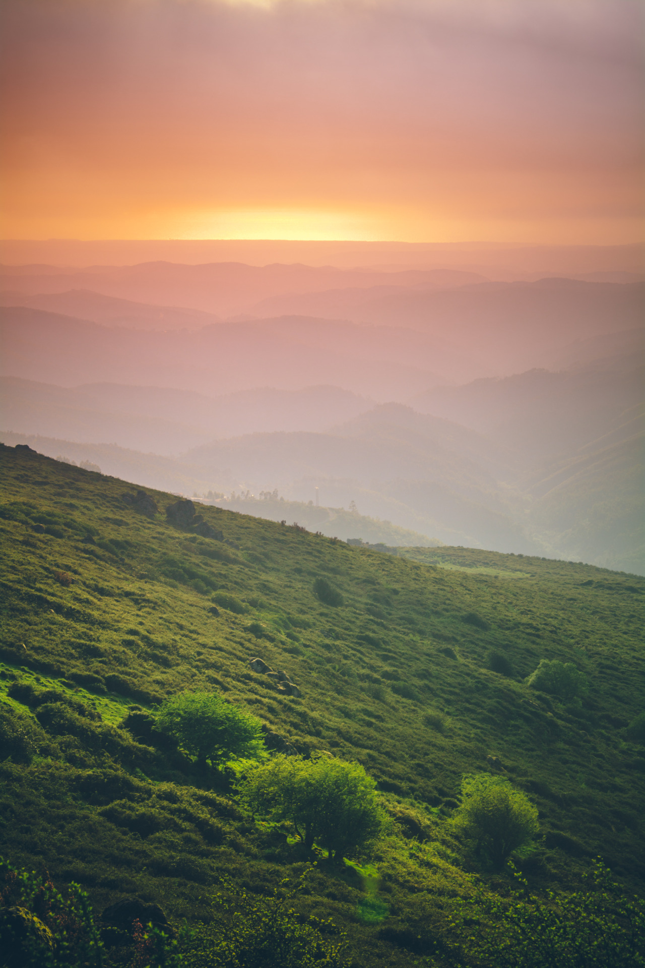 A Nature Blog