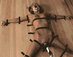 Beautiful BDSM
