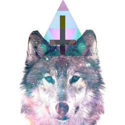 instashredd:  || Sycamore Wolf || by exxra http://instagr.am/p/TMf-QPMhkB/