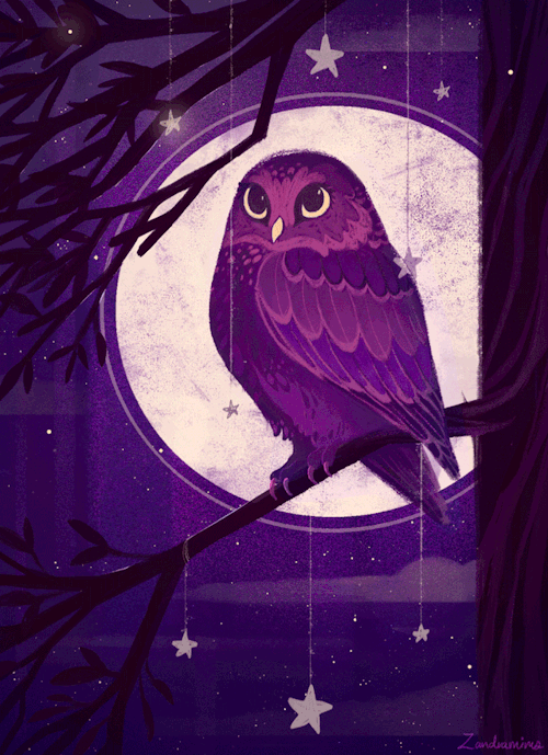 zandrami: Night Owl  