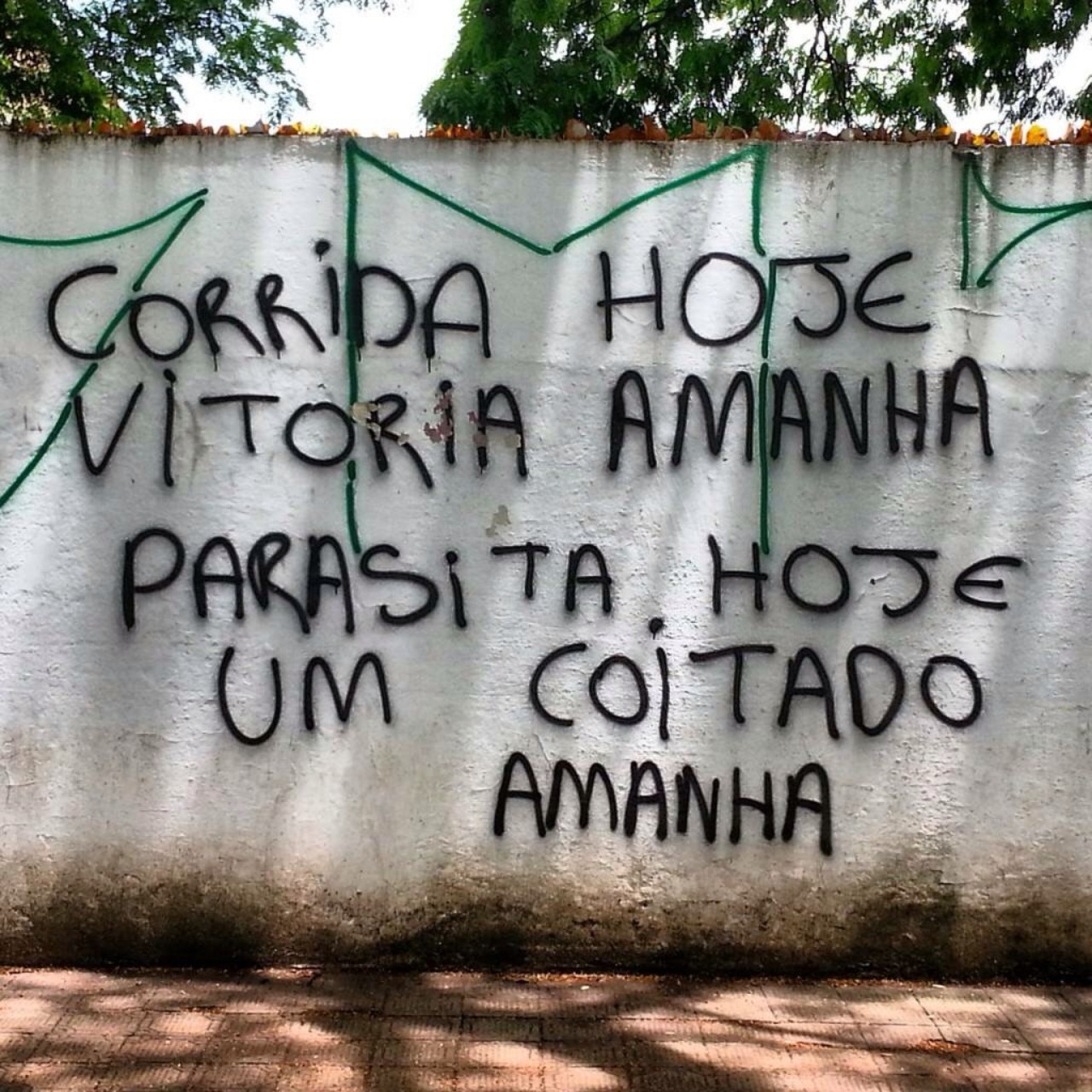 FOLHA DE MACONHA