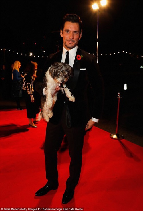 David Gandy and his beautiful pup Dora attend the Battersea Dogs...