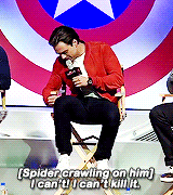 buckys:  Sebastian Stan during the promotion of ‘Captain America: Civil War’