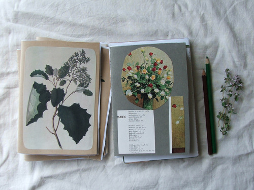 sinkling:notebooks by tiny happy on Flickr.