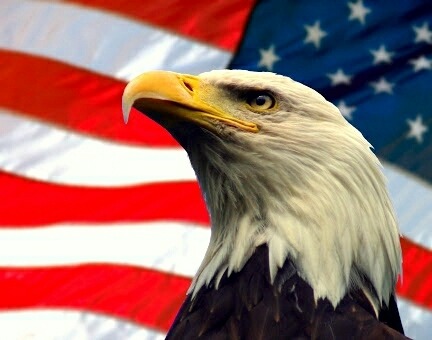 Happy Birthday, America – View on Path.