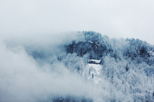marinanawe:by marina w. (tumblr / flickr / instagram) 