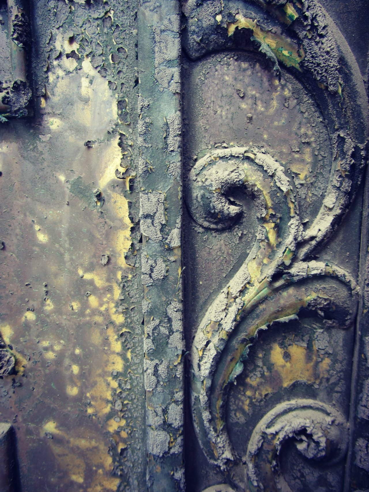 laurabfernandez:  Quiet halo. A small compilation from my cemetery photowalks in