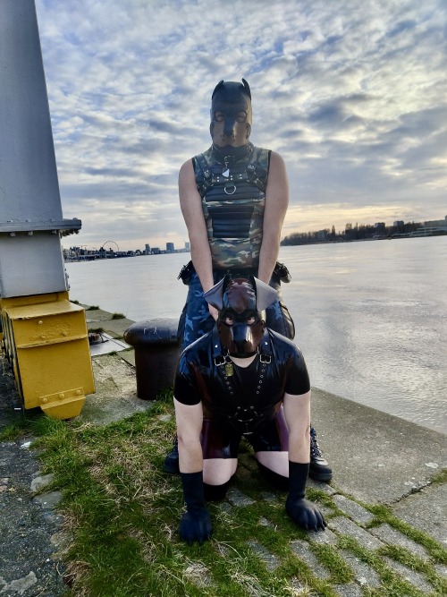 The Mandatory Crane Images From Darklandsthanks @PupRufusAD For The Pics