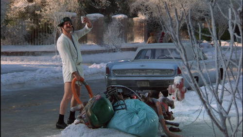 Christmas Vacation, 1989 Director - Jeremiah ChechikCinematography - Thomas Ackerman