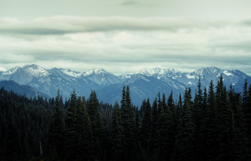 Olympic Mountain Range by bestviewedlarge on Flickr.