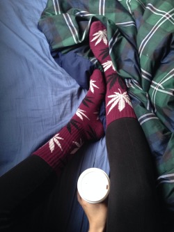 verticalism:  little marijuanas on ur socks