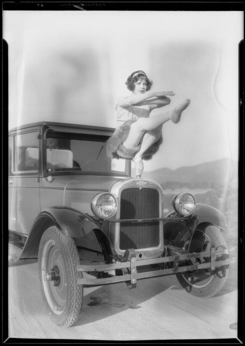 grandma-did:  Hood ornament. 