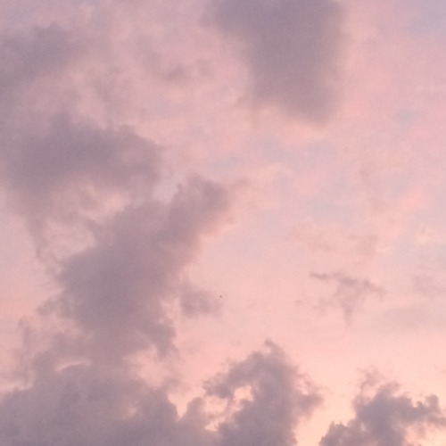 seolei:the sky was so beautiful. ig: lega.cy(please don’t delete caption !!)