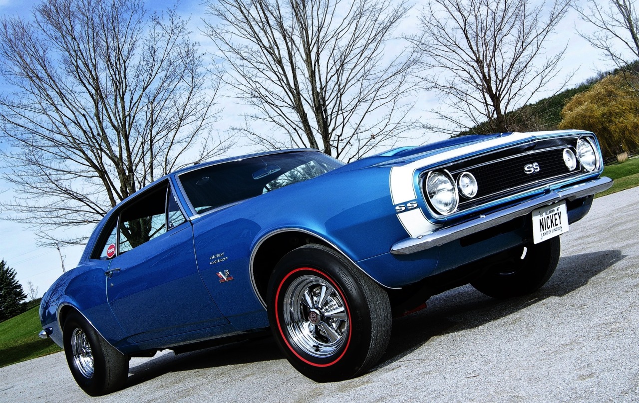 cheekydollssublimedesire:  theoldiebutgoodie:  1967 Chevrolet Nickey Camaro.  Droooooool