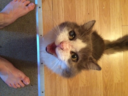 pier-ced:Feed me!Riley!