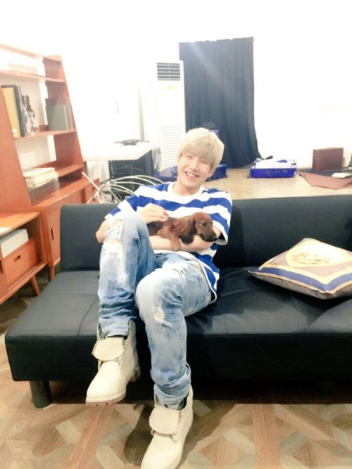 with-astro:  [TWITTER UPDATE] Puppy JinJin met a real puppy~ ♡ This cutest puppy in the world’