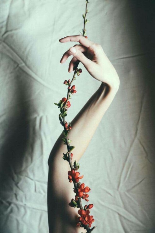 Her beauty stung him Like those first thorns of summer&hellip;©️wantonwhispers