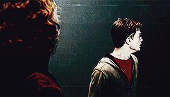 remusjohnslupin:  Marauders Era Challengea death you wish hadn’t happened » sirius