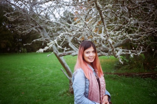 Mandarin Picking at Auckland, New Zealand. – My boyfriend gave me an analog camera to play wit