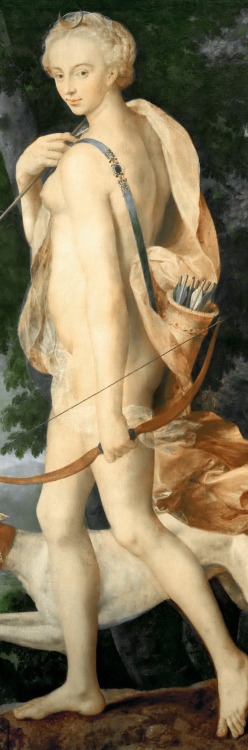 Detail of Diana the Huntress, attributed to Luca Penni (1550)