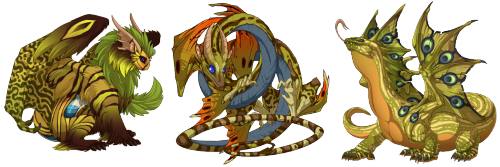 cerillosvillage:cerillosvillage:New Lost Traveler for sale! I hatched this spring xxy back in Novemb