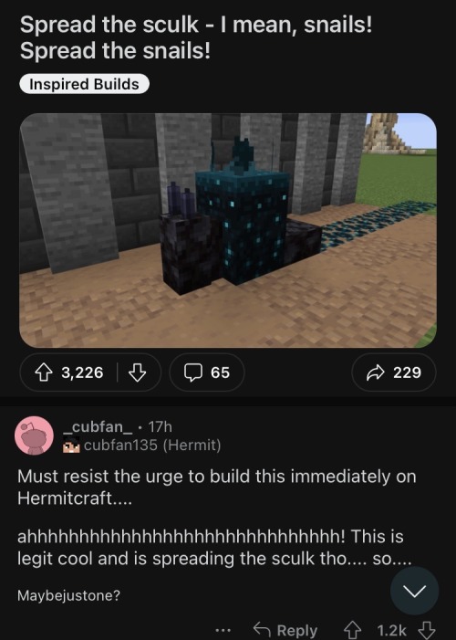 Come Back Skulk Cub My Beloved Come Back
