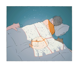 tofuvi:a nap.