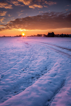 amargedom:   Winter Sunrise By Lee Warren