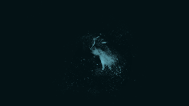 walsh-castillo:Third rule of shadowhunting… Emotions cloud judgement.